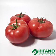 КС 1157 F1 / KS 1157 F1 - насіння томата (помідора), Kitano Seeds