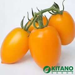 КС 1430 F1 / KS 1430 F1 - насіння томата (помідора), Kitano Seeds