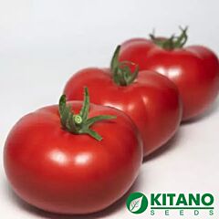 КС 202 F1 / KS 202 F1 - семена томата (помидора), Kitano Seeds