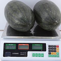 КС 250 F1 / KS 250 F1 - семена арбуза, Kitano Seeds