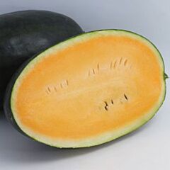 КС 250 F1 / KS 250 F1 - семена арбуза, Kitano Seeds