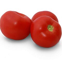 КС 2910 F1 / KS 2910 F1 - семена томата (помидора), Kitano Seeds