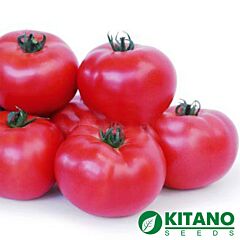 КС 307 F1 / KS 307 F1 - насіння томата (помідора), Kitano Seeds