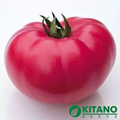 КС 3811 F1 / KS 3811 F1 - насіння томата (помідора), Kitano Seeds