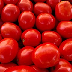 ЛЕОНЕРОССО F1 / LEONEROSSO F1 - насіння томата (помідора), Cora Seeds