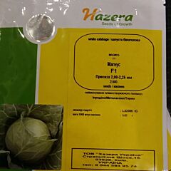 МАГНУС F1 / MAGNUS F1 - насіння білоголової капусти, Hazera
