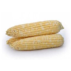 МАЙБІКО F1 / MAYBIKO F1 - насіння цукрової кукурудзи, May Seeds