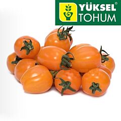 МОДА F1 / FASHION F1 - насіння томату черрі, Yuksel Tohum