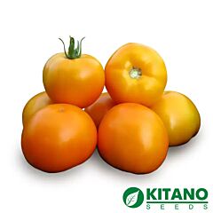 НУКСІ (КС 17) F1 / NUKSI (KS 17) F1 - насіння томата (помідора), Kitano Seeds
