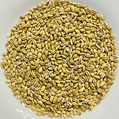 Перловая крупа оптом — мешки 25/50 кг, ДСТУ