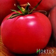 ПІНК / PINK - насіння томата (помідора), Hortus
