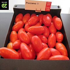 ПОЗЗАНО F1 / POZZANO F1 - насіння індетермінантного томату, Enza Zaden