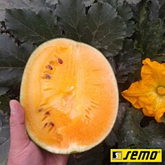 ПРИМАОРАНЖ F1 / PRIMAORANGE F1 - семена арбуза, Semo