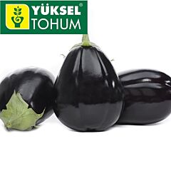 РАУНД F1 / ROUND F1 - насіння баклажана, Yuksel Tohum