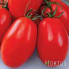 РІО ГРАНДЕ / RIO GRANDE - насіння томата (помідора), Hortus