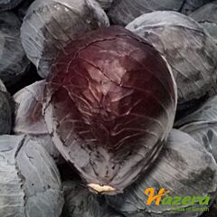 РОЗЕРА F1 / ROZERA F1 - насіння червоноголової капусти, Hazera