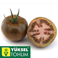 САШЕР F1 / SASHER F1 - семена томата, Yuksel Tohum