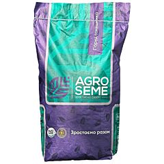 ФЛЕШ (НС Х 7900) — семена подсолнечника, AGRO SEME