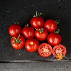 ШАСТА F1 / SHASTA F1 - насіння томата (помідора), Lark Seeds