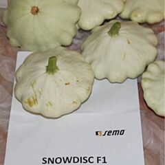 СНОУДИСК F1 / SNOWDISC F1 - насіння патисона, Semo