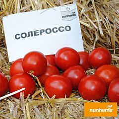 СОЛЕРОССО F1 / SOLEROSSO F1 - семена томата (помидора), Nunhems