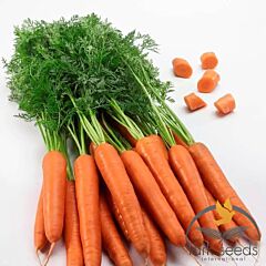 ТИТАН F1 / TITAN F1 - семена моркови, Lark Seeds