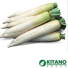 ТИТАН / TITAN - семена редиса, Kitano Seeds