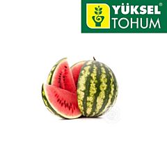 ХИЛОН (УСТА, 141-172) F1 / XILON (USTA, 141-172) F1 - семена арбуза, Yuksel Tohum