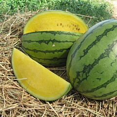 ЕЛОВ ЛАВ F1 / YELLOW LOVE F1 - семена арбуза, Clause