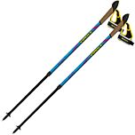 Палки для скандинавской ходьбы Vipole Vario Novice Blue/Violet (S20 34)
