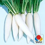 ТІ-150 F1 - насіння редьки, Takii Seeds
