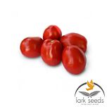 1311 F1 - семена томата (помидора), Spark Seeds