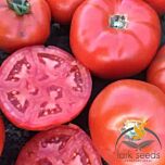 1503 F1 - насіння томата (помідора), Spark Seeds