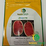 МОНРО (ІНХ 1723) F1 / MONRO (INX 1723) F1 - насіння кавуна, INNOVA SEEDS