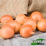 КЕОПЕ (ЦРХ 2312) F1 / KEOPE F1 (CRX 2312) - насіння цибулі, Cora Seeds
