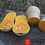 ПЛ 4110 F1 / PL 4110 F1 - насіння гарбуза, Asia Seed