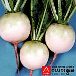 ПЛ 535 F1 / PL 535 F1 - насіння редьки, Asia Seed