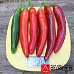 ПЛ 6221 F1 / PL 6221 F1 - семена перца, Asia Seed