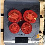 9969 F1 - насіння томата (помідора), Spark Seeds