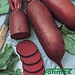 АТАМАН / ATAMAN - насіння столового буряку, Satimex