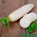 ДАЙКОН / DAIKON - насіння редьки, Satimex