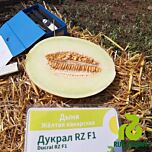 ДУКРАЛ F1 / DUCRAL F1 - насіння дині, Rijk Zwaan