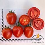 ЕНІГМА F1 / ENIGMA F1 - насіння томата (помідор), Lark Seeds