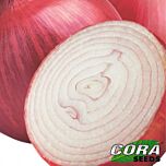 ФІАММА F1 / FIAMMA F1 - насіння цибулі, Cora Seeds