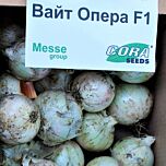 ВАЙТ ОПЕРА F1 / VAIT OPERA F1 - семена лука, Cora Seeds