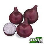 ДИВИНА F1 / DIVINA F1 - насіння цибулі, Cora Seeds
