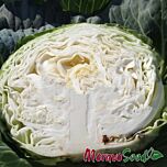ЗЕУС (ГЕЛИОС) F1 / ZEUS (GELIOS) F1 - семена белокачанной капусты, Moravoseed