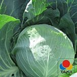 ЧИРЗ F1 / CHIRZ F1 - семена белокачанной капусты, Takii Seeds