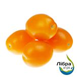 ФЛОРЕНС F1 / FLORENS F1 - семена томата (помидора), LibraSeeds