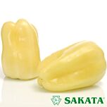 ЛЕЙК F1 / LEYK F1 - насіння перцю, Sakata
